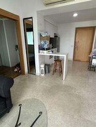 Eight Riversuites (D12), Condominium #520155401